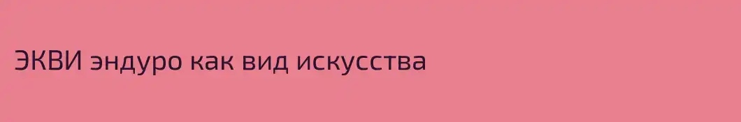 ЭКВИ эндуро как вид искусства